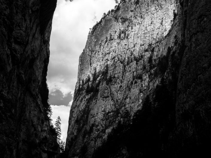 Nature / Landscape